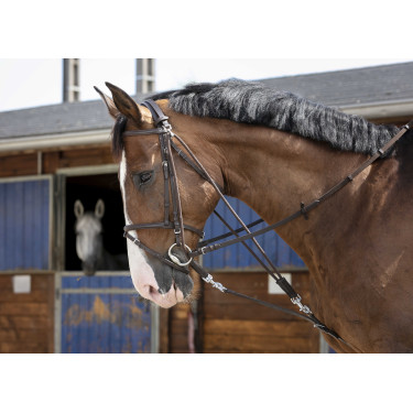 Gogue com roldanas Riding World Havana Castanho