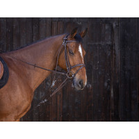 Gogue com roldanas Riding World Havana Castanho Gogue com roldanas Riding World Havana Castanho