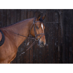 Gogue com roldanas Riding World Havana Castanho