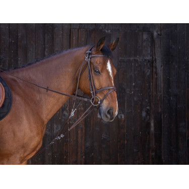 Gogue com roldanas Riding World Havana Castanho