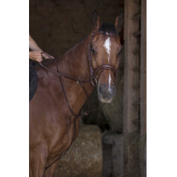 Martingale com anéis Norton Pro Havana Castanho