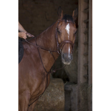 Martingale com anéis Norton Pro Havana Castanho