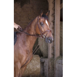 Rendas alemãs couro / corda Norton Pro Havana Castanho Rendas alemãs couro / corda Norton Pro Havana Castanho