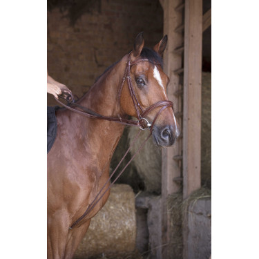 Rendas alemãs couro / corda Norton Pro Havana Castanho Rendas alemãs couro / corda Norton Pro Havana Castanho