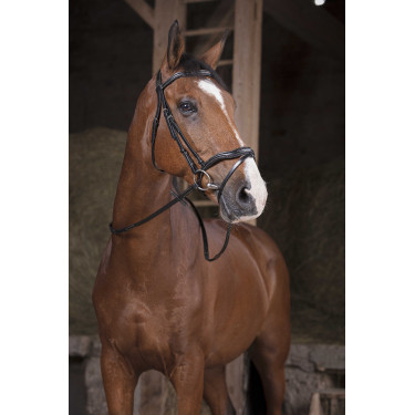 Rendas Norton Pro Supergrip Preto