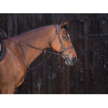 Martingale com anéis Riding World Havana Castanho