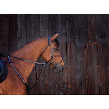 Martingale com anéis Riding World Preto