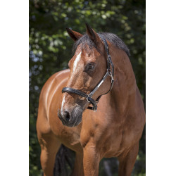 Cabeçada de couro Norton Pro Grooming Preto