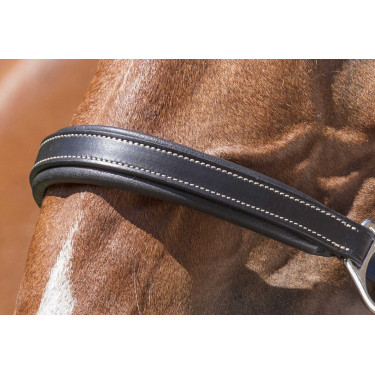 Cabeçada de couro Norton Pro Grooming Preto