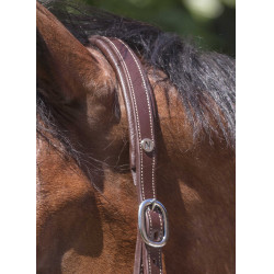 Cabeçada de couro Norton Pro Grooming Havana Castanho