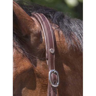 Cabeçada de couro Norton Pro Grooming Havana Castanho