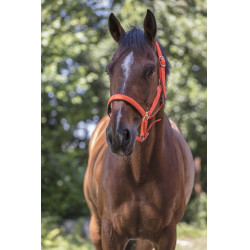 Caveção Norton Fluo forrado Laranja