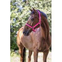 Caveção Norton Fluo forrado Rosa