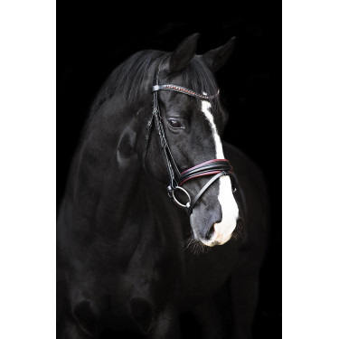 Bridão Impérial Riding Fria Borgonha Bordô Bridão Impérial Riding Fria Borgonha Bordô