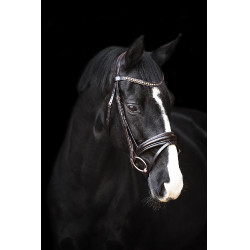 Bridão Impérial Riding Fria Castanho