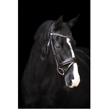Bridão Impérial Riding Fria Castanho