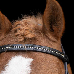 Caveção shetland Imperial Riding Stormy Preto / cristal