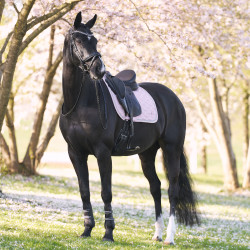 Almofada de sela Imperial Riding Lenny DR Quartzo Rosa
