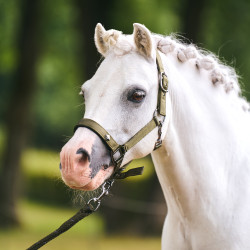Caveção Imperial Riding Rebel Verde-oliva
