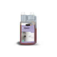 B-Quiet Mestre do Cavalo