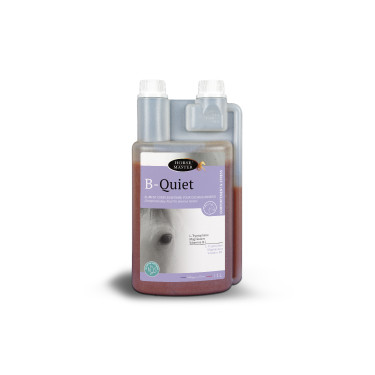 B-Quiet Mestre do Cavalo