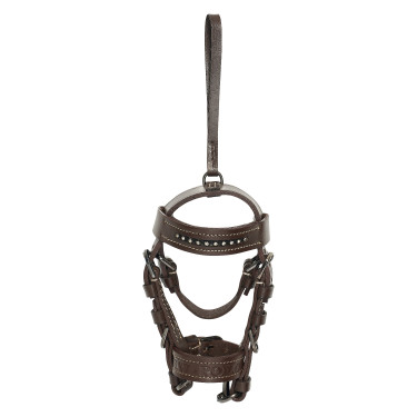 Bridão charms HV Polo Legacy Amêndoa Castanho