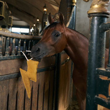 Brinquedo de baia Imperial Riding relâmpago Amarelo