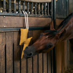 Brinquedo de baia Imperial Riding relâmpago Amarelo