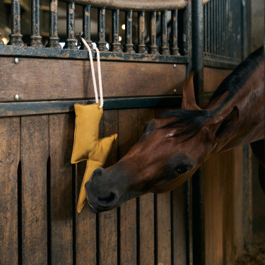 Brinquedo de baia Imperial Riding relâmpago Amarelo