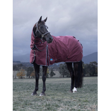 Manta ComFiTec Essential Turnout Weatherbeeta 220g com pescoço destacável Bordô / marinho Bordô Manta ComFiTec Essential Turnout Weatherbeeta 220g com pescoço destacável Bordô / marinho Bordô