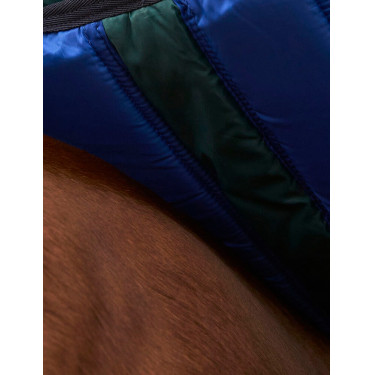 Capa ComFiTec Plus Dynamic Turnout Weatherbeeta 0g Verde floresta / azul-marinho