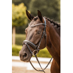 Frontal com strass Horze Columbia Preto / prata