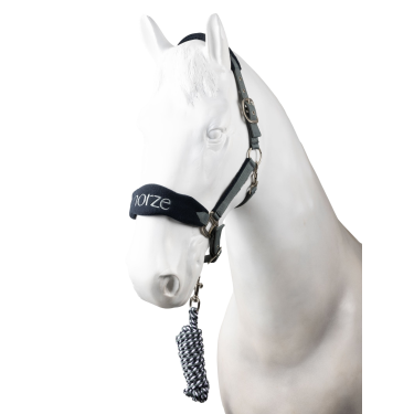 Cabrinho e guia Horze Magic Cinza tempestade