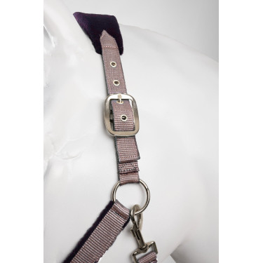 Cabrinho e guia Horze Magic Sílex violeta