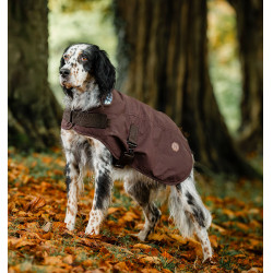 Manta para cão Horseware Heritage Newmarket Castanho / azul-marinho Witney Manta para cão Horseware Heritage Newmarket Castanho / azul-marinho Witney