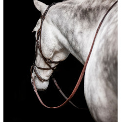 Bridle sem freio Horseware Micklem Castanho