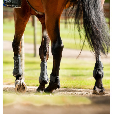 Guarnições para boleto Horseware® Classic Preto / preto