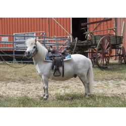 Sela Western Westride Topeka