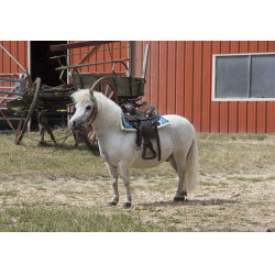 Sela Western Westride Topeka