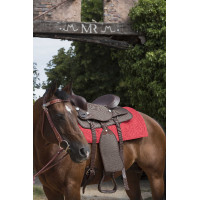 Tapete Westride Navajo algodão/acrílico liso Vermelho