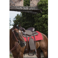 Tapete Westride Navajo algodão/acrílico liso Vermelho