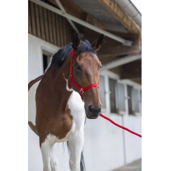 Conjunto de cabeçada e rédea Club Vermelho