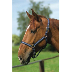 Cabeçada de nylon forrada a couro Norton Marinho / céu Azul Cabeçada de nylon forrada a couro Norton Marinho / céu Azul