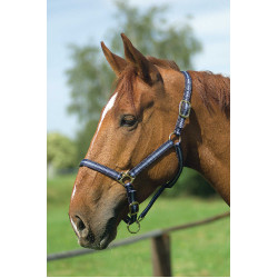 Cabeçada de nylon forrada a couro Norton Marinho / céu Azul Cabeçada de nylon forrada a couro Norton Marinho / céu Azul