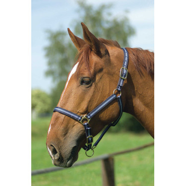 Cabeçada de nylon forrada a couro Norton Marinho / céu Azul Cabeçada de nylon forrada a couro Norton Marinho / céu Azul