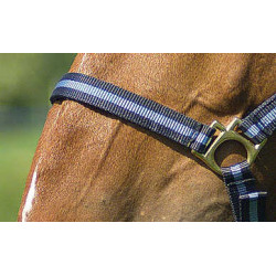 Cabeçada de nylon forrada a couro Norton Marinho / céu Azul Cabeçada de nylon forrada a couro Norton Marinho / céu Azul