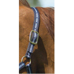 Cabeçada de nylon forrada a couro Norton Marinho / céu Azul Cabeçada de nylon forrada a couro Norton Marinho / céu Azul