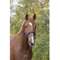 Cabeçada de nylon forrada a couro Norton Verde claro