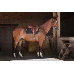 Cinta combinada Eric Thomas Hybrid Havana Castanho