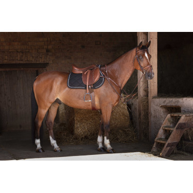 Cinta combinada Eric Thomas Hybrid Havana Castanho